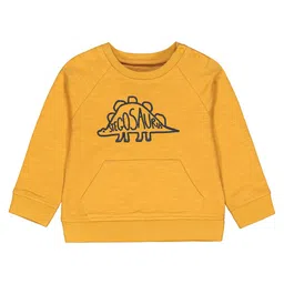 mothercare Boys Graphic Printed Cotton Sweatshirt-picture-23