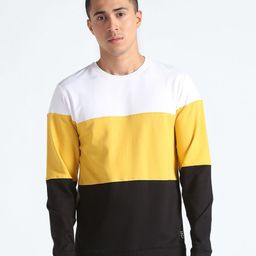 Flying Machine Colourblocked Pure Cotton Pullover Sweatshirt-image-69