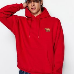 Trendyol Hooded Pullover Sweatshirt-picture-21