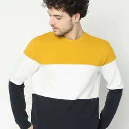 R&B Colourblocked Cotton Pullover Sweatshirt-picture-22