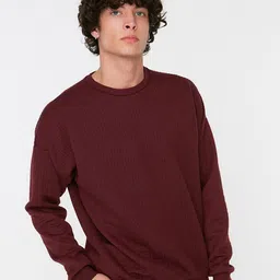 Trendyol Men Long Sleeve Sweatshirt-image-35