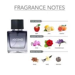 Ajmal Set of Neea, Yearn, Aretha, Ascend Eau De Parfum - 50 ml Each image 3