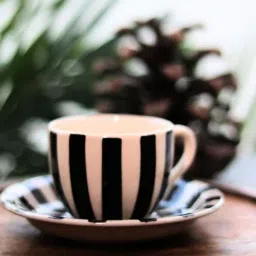 rare planet Handcrafted Black and White Striped Ceramic Cup and Saucer Set-picture-41
