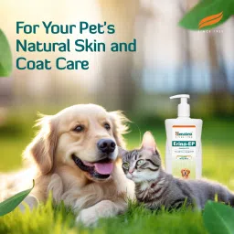 himalaya Erina EP Shampoo | Improves Skin Health & Odor | Controls Ticks & Fleas Flea and Tick Neem and Eucalyptus Dog, Cat Shampoo image 3