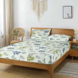 aurave Multicolor Floral 250 TC Cotton King Fitted Bedsheet with 2 Pillow Covers-picture-0