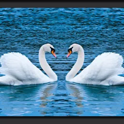 BEAUTIFUL VASTU SWAN FRAME Photographic Paper-28