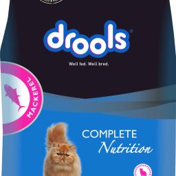 with Mackeral 3 kg Dry Adult Cat Food-image-32