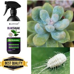 Mealy Magic Plant Protection Spray Fertilizer-19