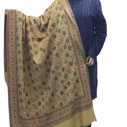 Vrinde Wool Embellished Men, Women Shawl-image-26
