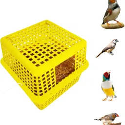 Birds Breeding Box for Type Small Birds for Cage Finches Bird Nest (Pack Of 1) Bird House-image-19