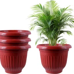 Decorate Terrace / Balcony / Home / Office With Growing Pots Plant Container Set-image-74