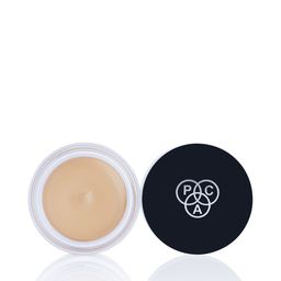 PAC Studio HD Concealer 12 g - Light Almond-39