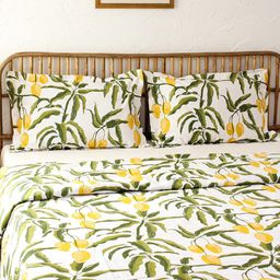 House This Yellow & Green Printed Pure Cotton Single Duvet Cover-picture-14