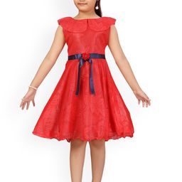 Aarika Red Net Dress-image-64