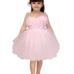 Aarika Girls Pink Applique Detail Net Dress-97