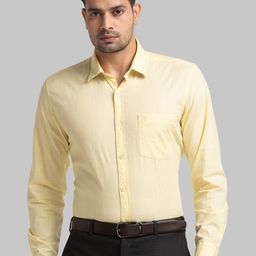Raymond Long Sleeves Pure Cotton Formal Shirt-picture-9