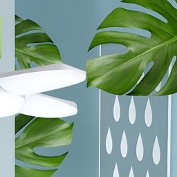ENORMITY Ceiling Lamp-25
