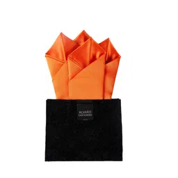 Alvaro Castagnino Men Orange Solid Pocket Square-image-7