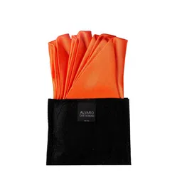 Alvaro Castagnino Men Orange Solid Pocket Square-image-80