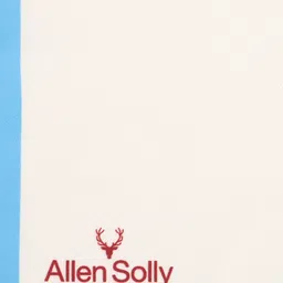 Allen Solly Men Multicolored Printed Pocket Square image 2