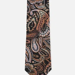 Peter England Men Woven Design Broad Tie-picture-8