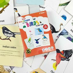 WEMBLEY Set Of 28 Flash Cards Skill Development Toy Learning and Development Toys image 4