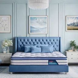duroflex Posture Perfect - Doctor Recommended 5 Zone Dual Density Orthopedic Support layer 3 Zone Pocket Spring Mattress with Euro Top - Queen Size-picture-37