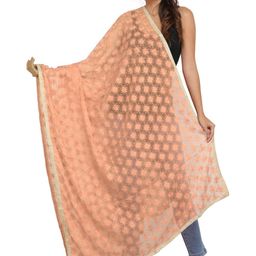 Exotic India Ethnic Motifs Embroidered Chiffon Dupatta-picture-14