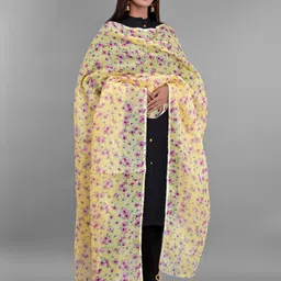 Apratim Yellow & Pink Printed Dupatta-45