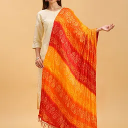 Dupatta Bazaar Ethnic Motifs Printed Art Silk Dupatta-29