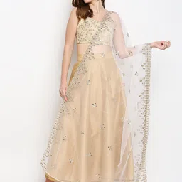 Dupatta Bazaar White & Silver-Toned Ethnic Motifs Embroidered Dupatta with Mirror Work-17