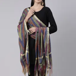 Souchii Woven Design Ikat Dupatta-picture-46
