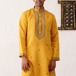 Jompers Ethnic Motifs Embroidered Sequinned Cotton Silk Straight Kurta-picture-9