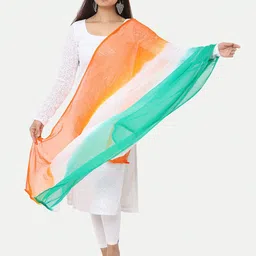 HELLA FASHIONS Colourblocked Chiffon Dupatta-picture-27