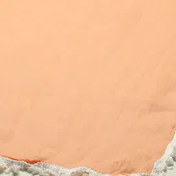 Rangriti Dupatta with Thread Work image 3