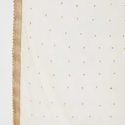 Clora Creation Ethnic Motifs Embroidered Dupatta with Sequinned image 3