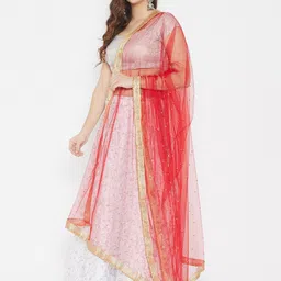 Clora Creation Embroidered Dupatta with Sequinned image 4