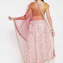 Clora Creation Net Dupatta with Sequinned image 4
