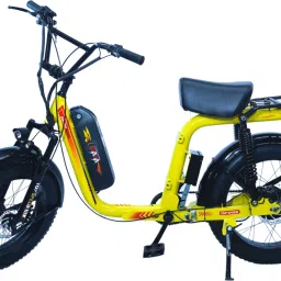 WAYAZULU250YL 20 inches Single Speed Lithium-ion (Li-ion) Electric Cycle-image-76