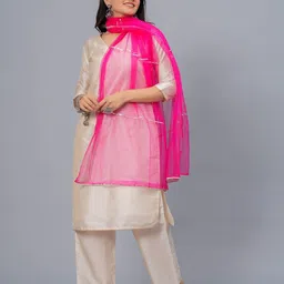 Stylum Pink Gotta Patti Net Dupatta image 4