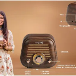 Penguin Sargam 20 W Bluetooth Speaker image 2