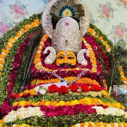 sHYAM _45 8 inch 11-image-41