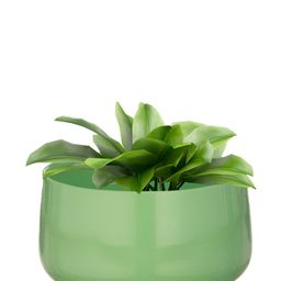 Homspurts Dish Green Powder Coated Metal Planter-image-13