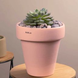 harla arts Dream Set Of 2 Pink Porcelain Floor Planters-picture-33