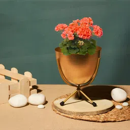 Homspurts Gold Toned Metal Sturdy Planter With Stand-47