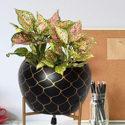 ecofynd Black Printed Metal Planter with Stand-image-10