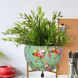 ecofynd Lio Green Set of 2 Printed Metal Pot with Stand-0