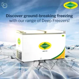 505 L Double Door Standard Deep Freezer-image-6