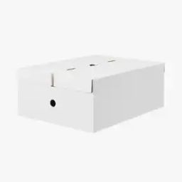 Cardboard File Box with Lid-41