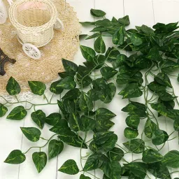 dekorly Artificial Multicolor Leaf Vine Money Plant Hanging Artificial Creeper Leaf Vine Multicolor Eucalyptus Artificial Flower image 4